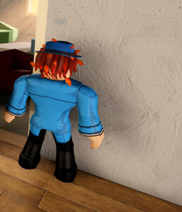 wall